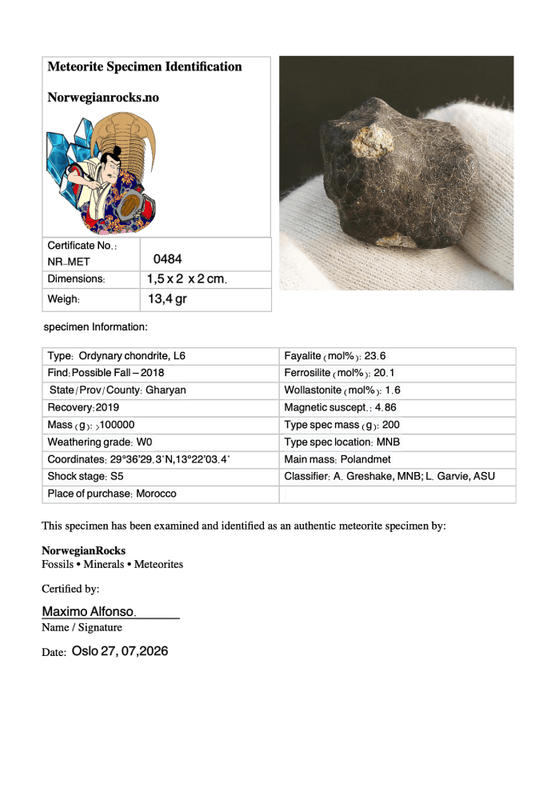 Hammadah al Hamra 346 (HaH 346) – Fresh Ordinary Chondrite (L6) Meteorite from Libya 13,4 gr