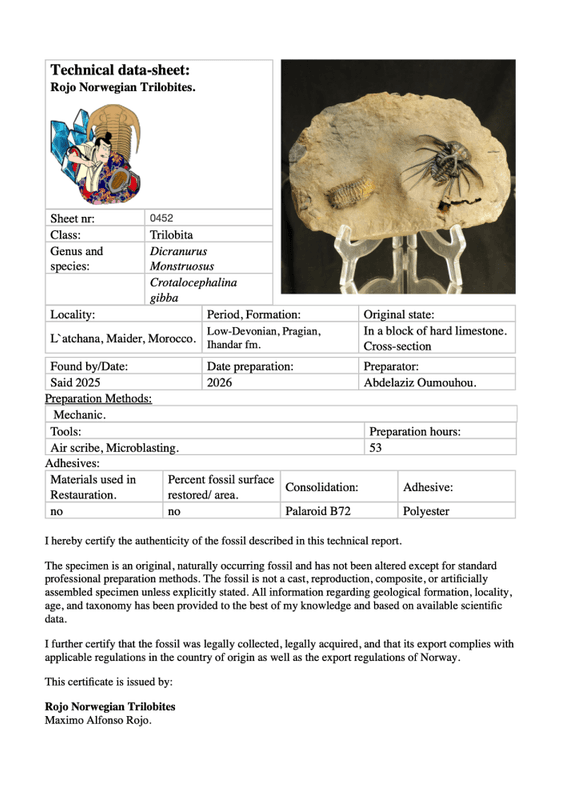 Devonian Trilobite Association Plate – Dicranurus monstruosus & Crotalocephalina gibba