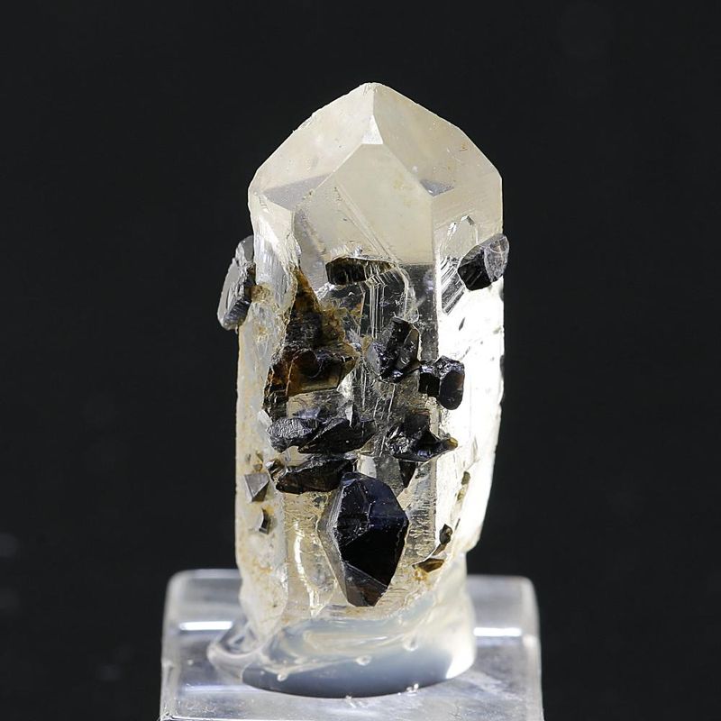 Anatase on Quartz from Hardangervidda, Norway