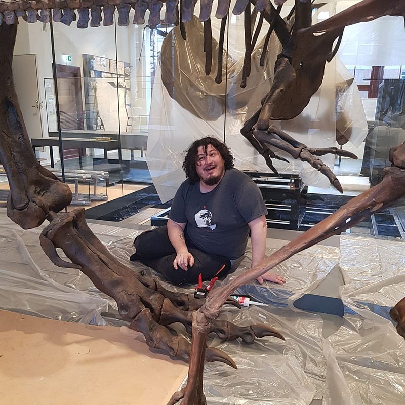 Conservation & Exhibit Preparation – Natural History Museum, Oslo