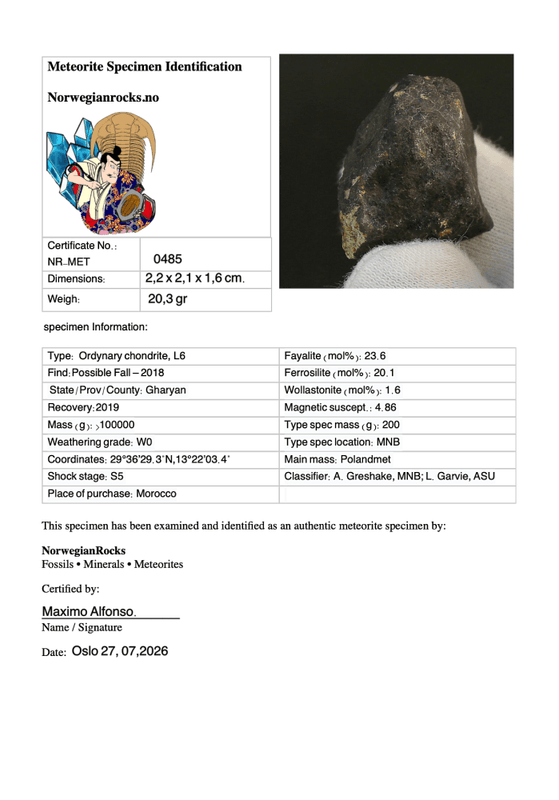 Hammadah al Hamra 346 (HaH 346) – Fresh Ordinary Chondrite (L6) Meteorite from Libya 20,3 gr