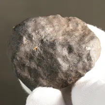 Shop Norwegian trilobites