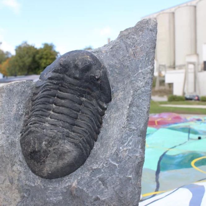 Main Image Trilobox Project 2016