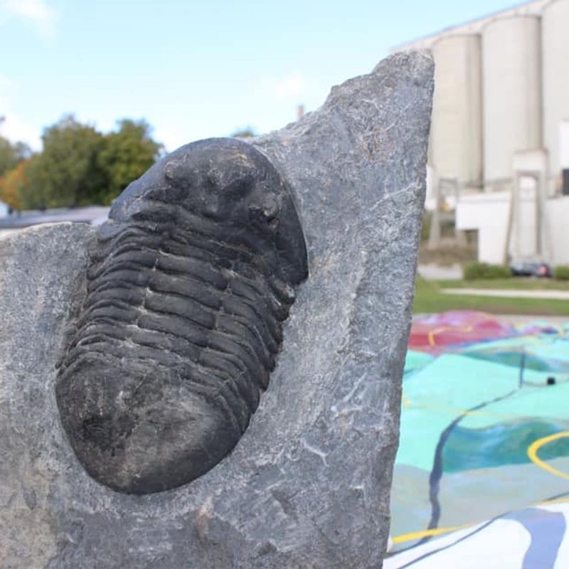 Trilobox Project 2016